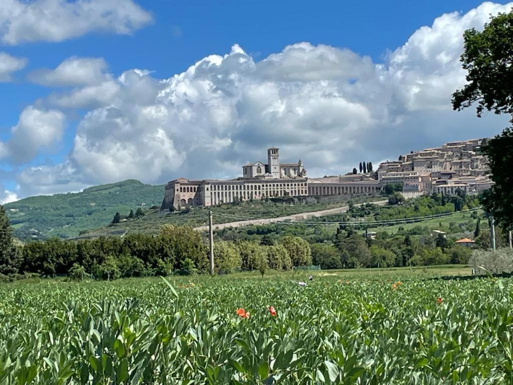 Il Fienile Di Assisi Villa Buitenkant foto